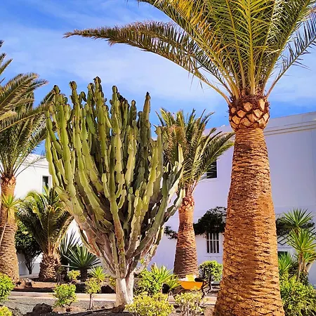 Апартаменты Flor De Dunas Pools Tennis, Bikes, Relax *