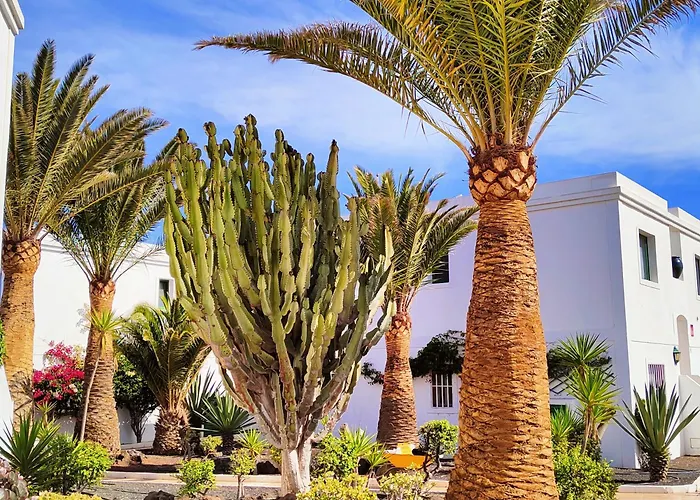 Appartamento Flor De Dunas Day Sunny, Pools, Tennis *